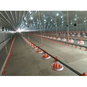 Prefab Steel Structure Chicken House Broiler Farm Steel Frame Building