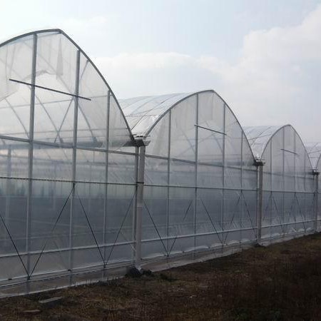 Prefabricated Tunnel Plastic Film Multispan Greenhouse Plastic Film Greenhouse