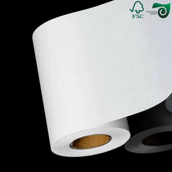 FSC Certified 270gsm 325gsm Uniform White Coated Kraft Back Paper For Bread Food Packaging