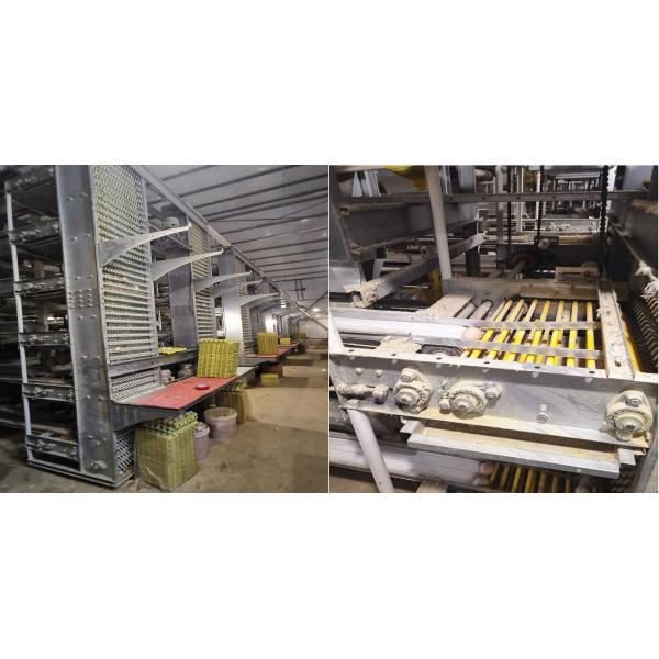 2pc/Layer HDG Poultry Egg Collection System Automatic 4m/Min Speed