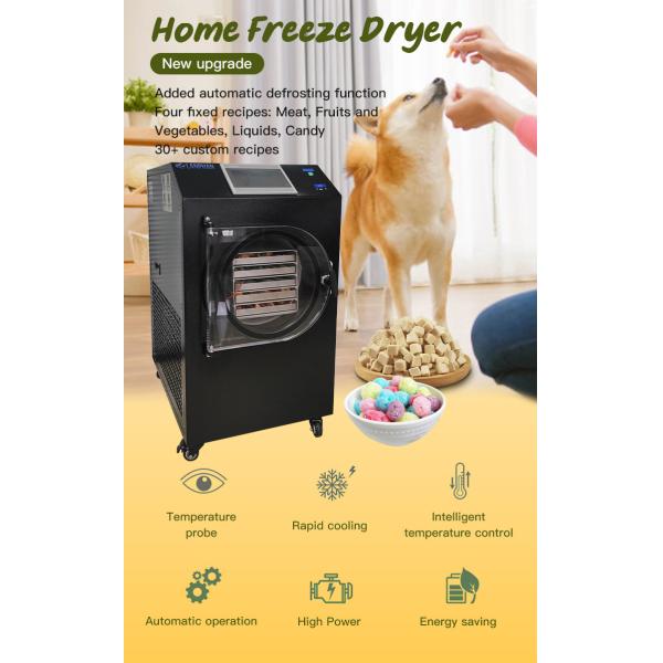 Automatic Small Home Freeze Dryer Machine for Fruit Food Meat Vegetable with Vacuum Pump