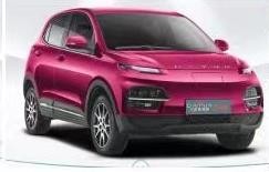 China 5 Seats BG2 Suv Electric Car 3695*1685*1595 Vented Disc on sale