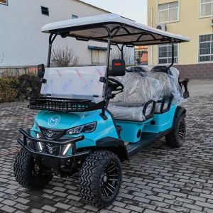 China Independent Suspension 6 Passenger Electric Sightseeing Golf Cart on sale