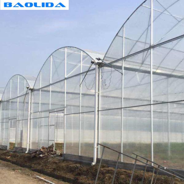 Prefabricated Tunnel Plastic Film Multispan Greenhouse Plastic Film Greenhouse