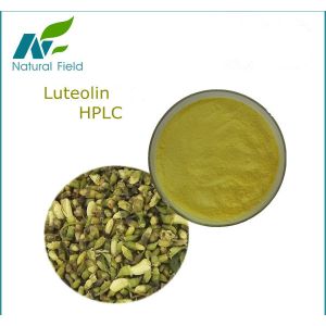 Cheap Pure natural 98% Luteolin wholesale