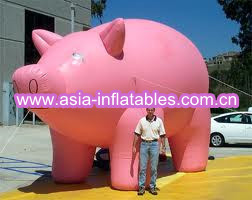 Cheap Inflatable helium pig balloon wholesale