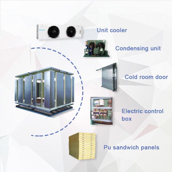 Commercial Cold Room Freezer Container For Frozen Vegetable And Fish Seafood