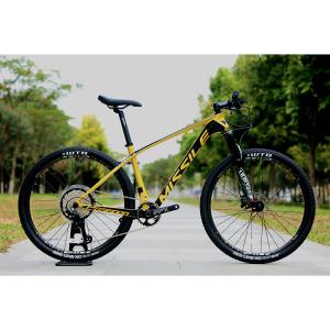 Carbon Fibre Frame 12 Speed 27.5 inch Aluminium Alloy Mountain Bike with High Durability