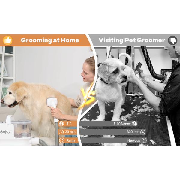 CHARGE Pet Hair Brush Grooming Vacuum Tool 300W Power Source for Smooth Grooming