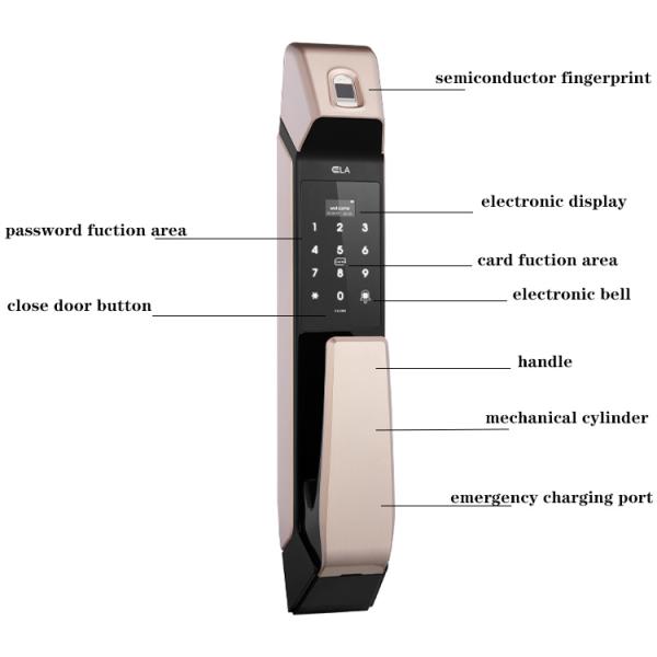 OEM ODM Fingerprint Handle Door Lock Face Recognition Zinc Alloy Material