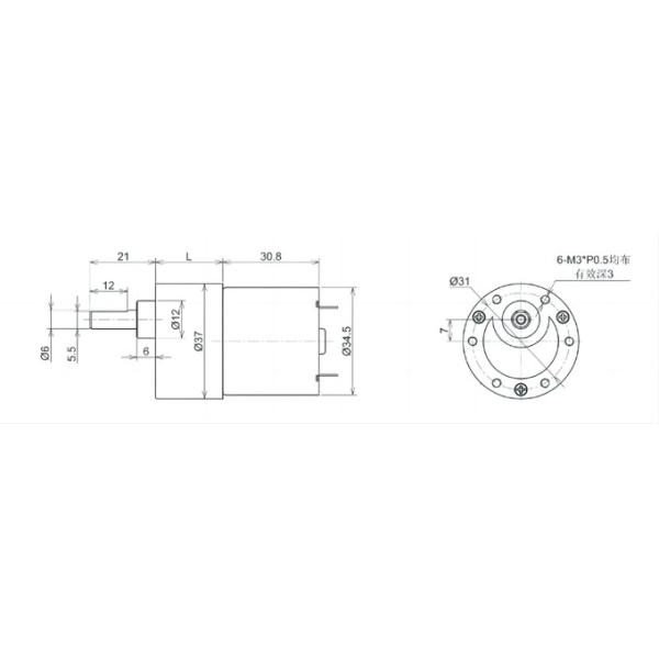 2w High Torque Low Rpm 12v Dc Motor 4200RPM Electric Gear Motor 12v For Massage Armchair