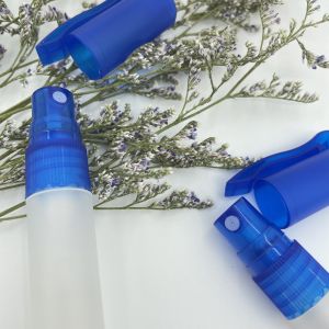 5ml 10ml Frosted Empty Hand Sanitizer Spray Pen Bottle Set PE Gasket leak proof