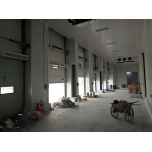 China Polyurethane Thermal Insulation Commercial Sectional Steel Doors Industrial Customized on sale