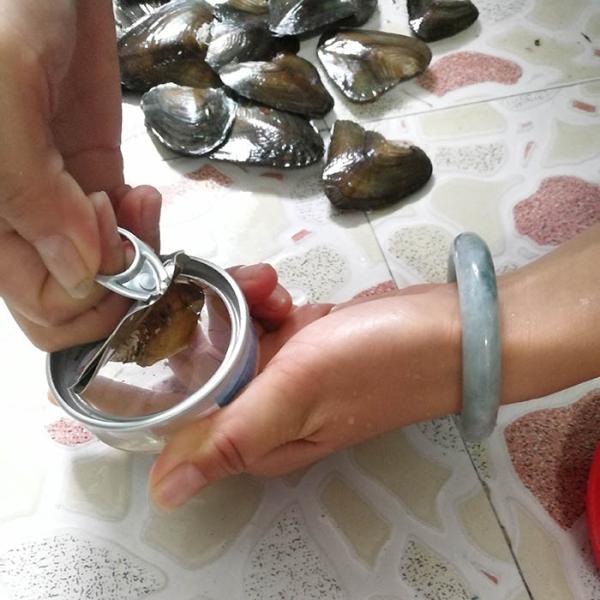 Wholesale Canned Genuine Oyster Shell Pearl In Can Freshwater Pearl Bead