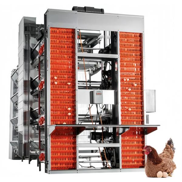 Automatic Layer Battery Chicken Cages 4 Tiers 5 Tiers Agricultural Poultry Farming Cage