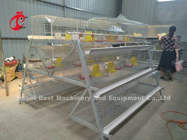 Q235 Poultry Farming Cage System Baby Chicks Brooder Steel Wire Emily
