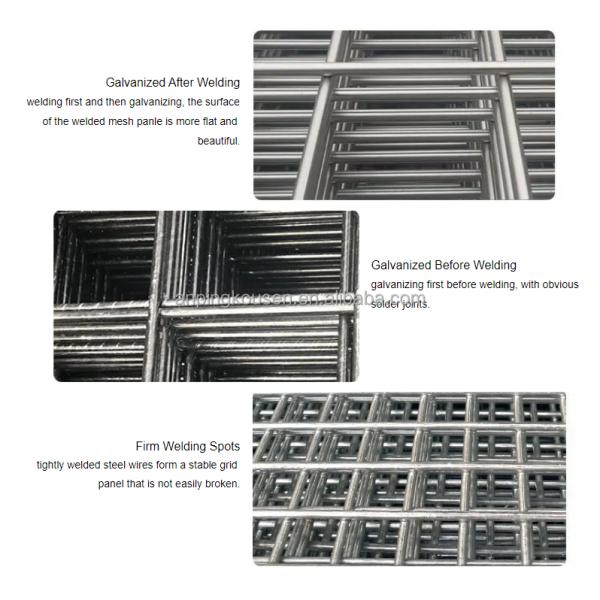 3-6mm Wire Gauge Galvanized/PVC Coated Gabion Box Square Mesh Iron Wire Mesh for Cages