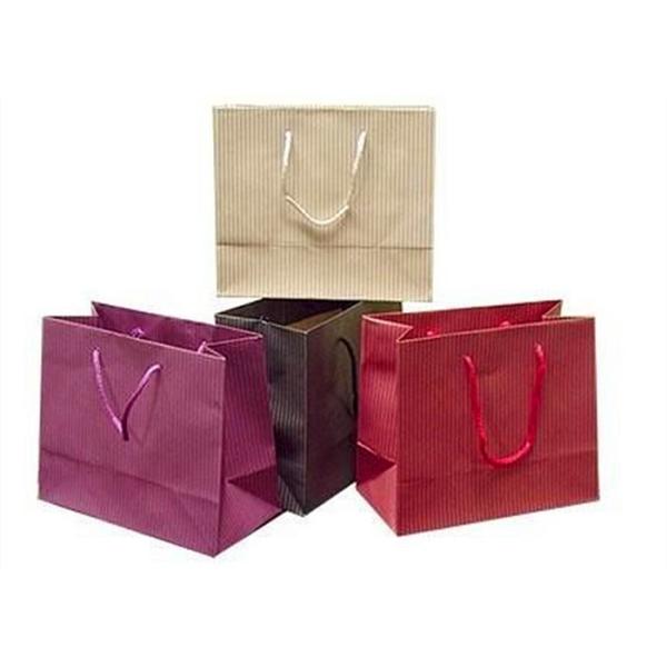 Custom Coated Foldable Paper Bag for Luxury Gift Packaging Solution Paper Shopping Bags