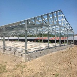 Steel Frame Chicken House Prefabricated Poultry Building Q235 Q345B
