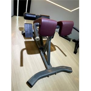 Freeman Commercial Gym Fitness Equipment Back Extension(hyper Extension Bench)