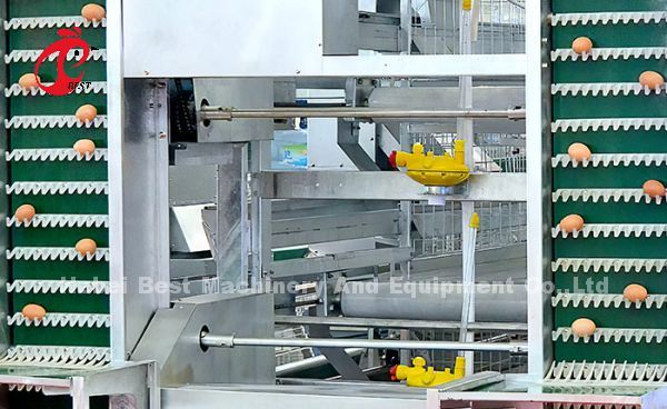 Full Automatic Layer Chicken Cage Commercial Chicken Battery Cage System CE Adela