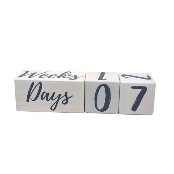 Square Reusable Wooden Milestone Blocks 12 Monthly Milestone Age Blocks