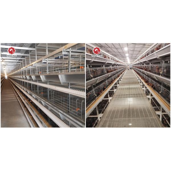 4 Floors Battery Chicken Cage Equipment