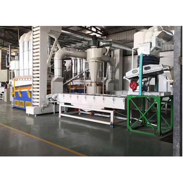 99% purity Sunflower Seed Natural Agricultural Products