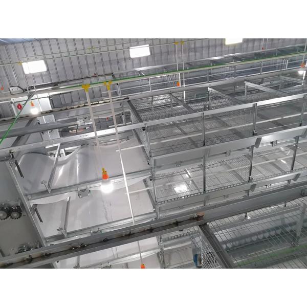 Enriched 3-8 Tiers Baby Chick Cage For Day Old Layer Chicks