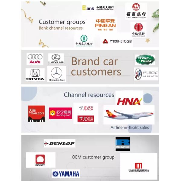 Polyester Lining Self-lock Zippers Cat Small Dog Carriers-Suitcase Set for Convenient Pet Travel