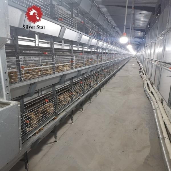 H Type Battery Broiler Chicken Cage Automatic For Poultry Farm