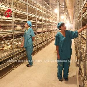 China Modern Design H Type Battery Layer Poultry Farm Cage ISO14001 Emily on sale