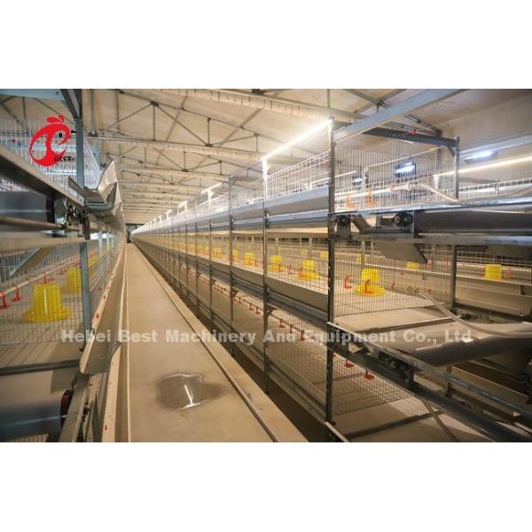 45 Days A H Type Broiler Cage 25 Years Lifespan With Drinkers And Feeders Star