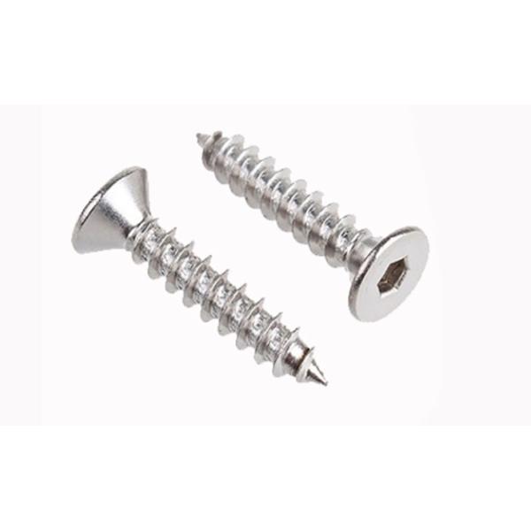 DIN EN ISO 14586 SUS304 Plum Blossom Screw Countersunk Head Tapping Screw