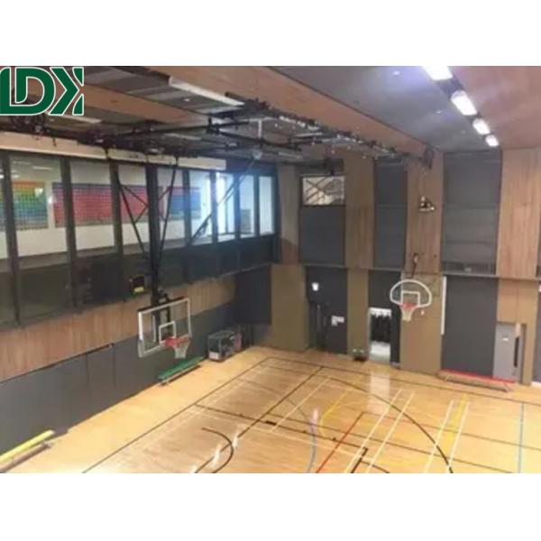 72"x42" Backboard Size Customized Professional Ceiling Mounted Basketball Hoop System