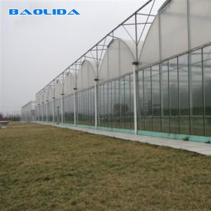 Prefabricated Tunnel Plastic Film Multispan Greenhouse Plastic Film Greenhouse