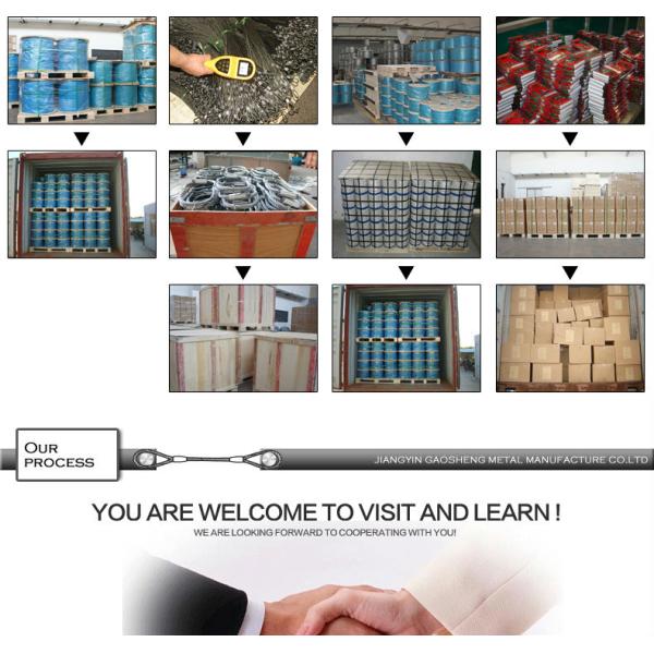 Eco-Friendly Retractable Dog Tie Out Cable with 4.41 KN Breaking Strength and Customizable Length