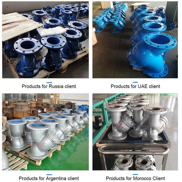 CE Certification Ductile Iron Cast Iron Butterfly Valve Gate valve Check Valve Y Strainer