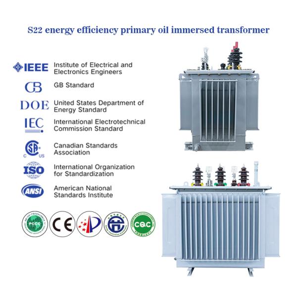 Step Up / Down Oil Immersed Power Transformer 30KVA 200KVA Three Phase IEC ANSI Standards