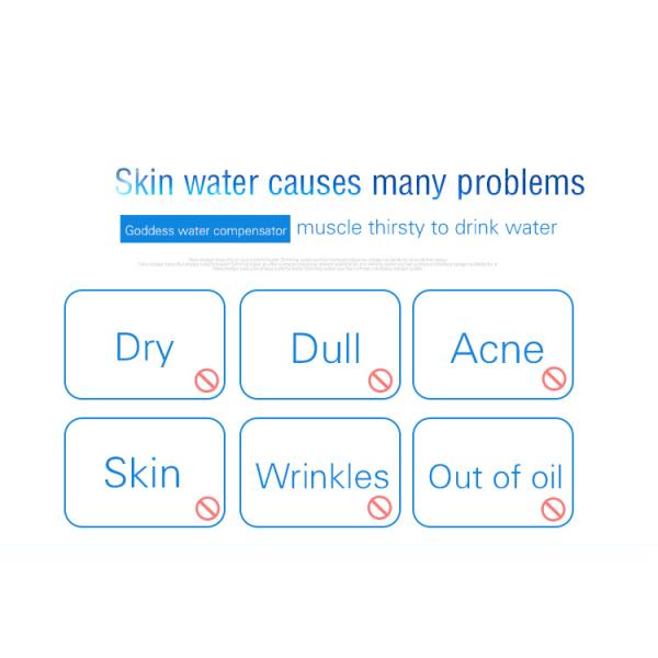 Dry Skin Facial Beauty Device Moisture Sonic Water Atomization Nano Mist Sprayer