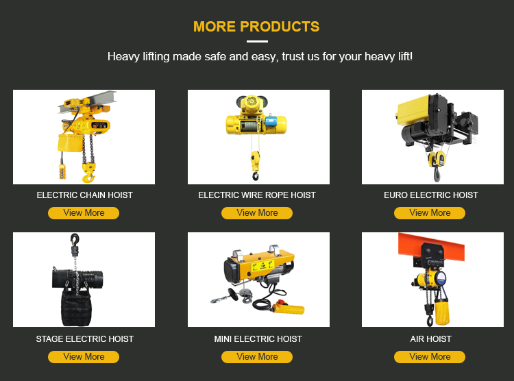 Low Maintenance Operation Electric Chain Hoist with Dual Braking System and 1 Year Warranty