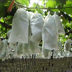 Spunbonde Non Woven 120GSM Fabric Fruit Protection Bags