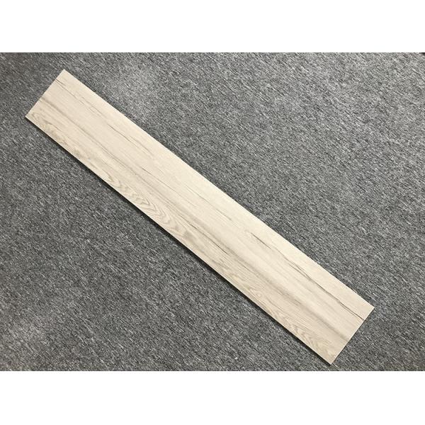 Modern Porcelain Tile Flooring Wood Look Full Body Garden