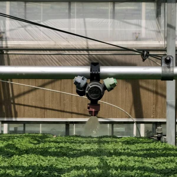 a-Type Roof Glass Greenhouse with Hydroponic Flower System