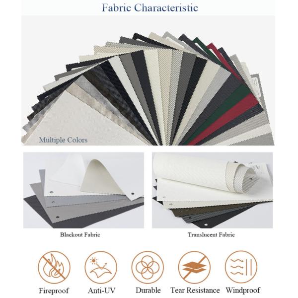 Smart 230V DIY Electric Roller Blind Custom Blackout Motorized Automatic 320cm