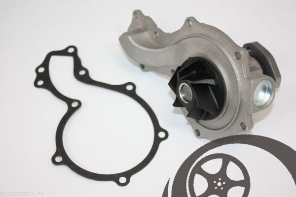 RIDEX Water Pump with Housing 6 Blades 30mm Hub