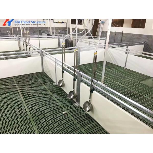 Stainless Steel Piggery Farm Equipment Automatic Pig Feeder / Double Pig Trough