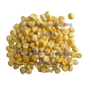 China Freeze Dried Sweet Corn Ingredients of Instant Soup Noodles on sale