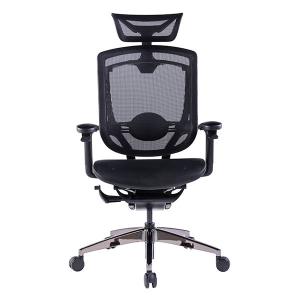 Black Back Support Computer Desk Chair Multifunctional Adjustable Ergonomic