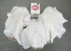 Cheap Neck Meat Dosidicus Gigas Bqf Export To Thailand Squid Neck Of Peru wholesale
